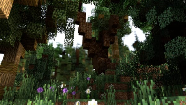 Patch 7.7 - Secrets of the Forest!